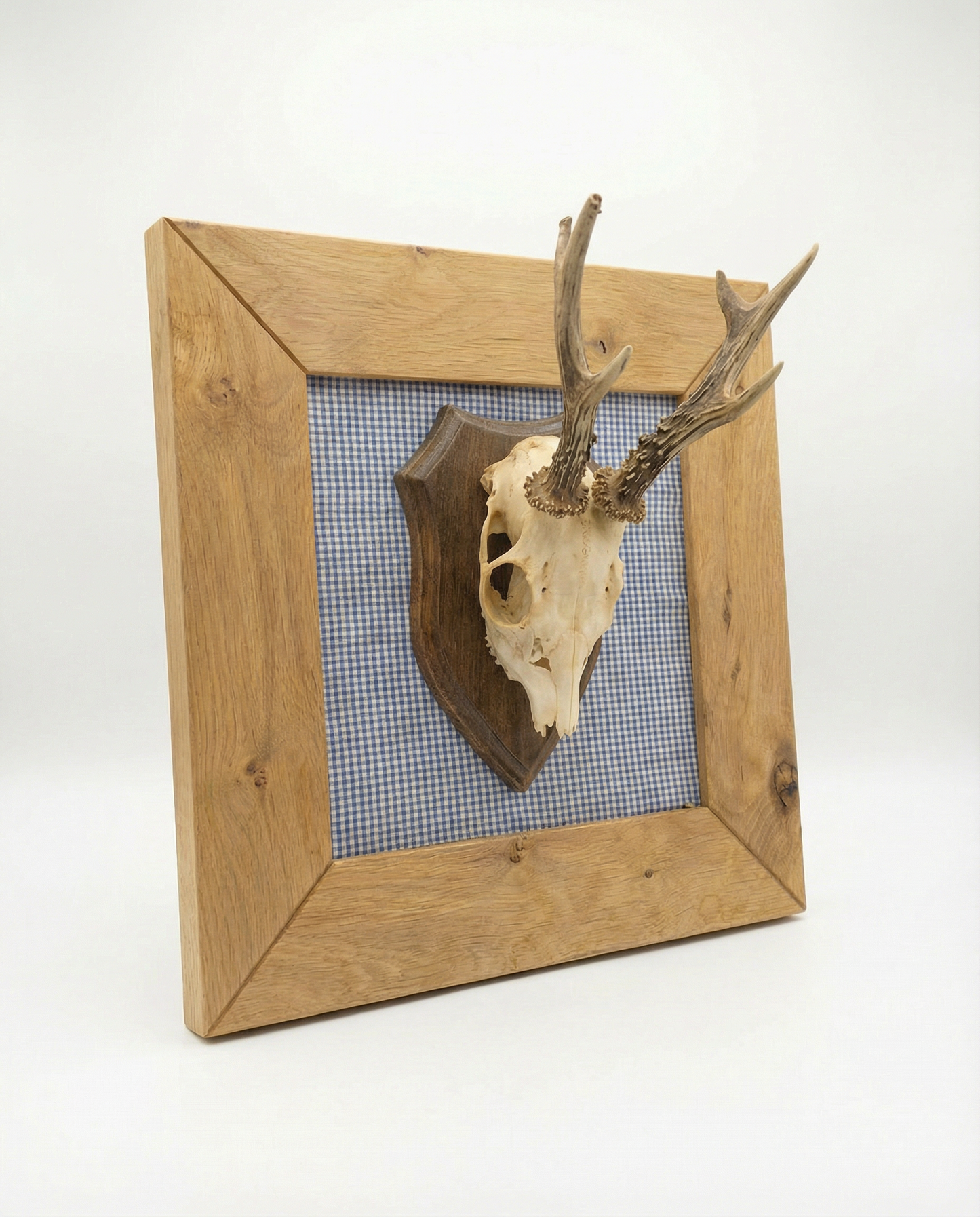 Geweih im Rahmen aus Eiche