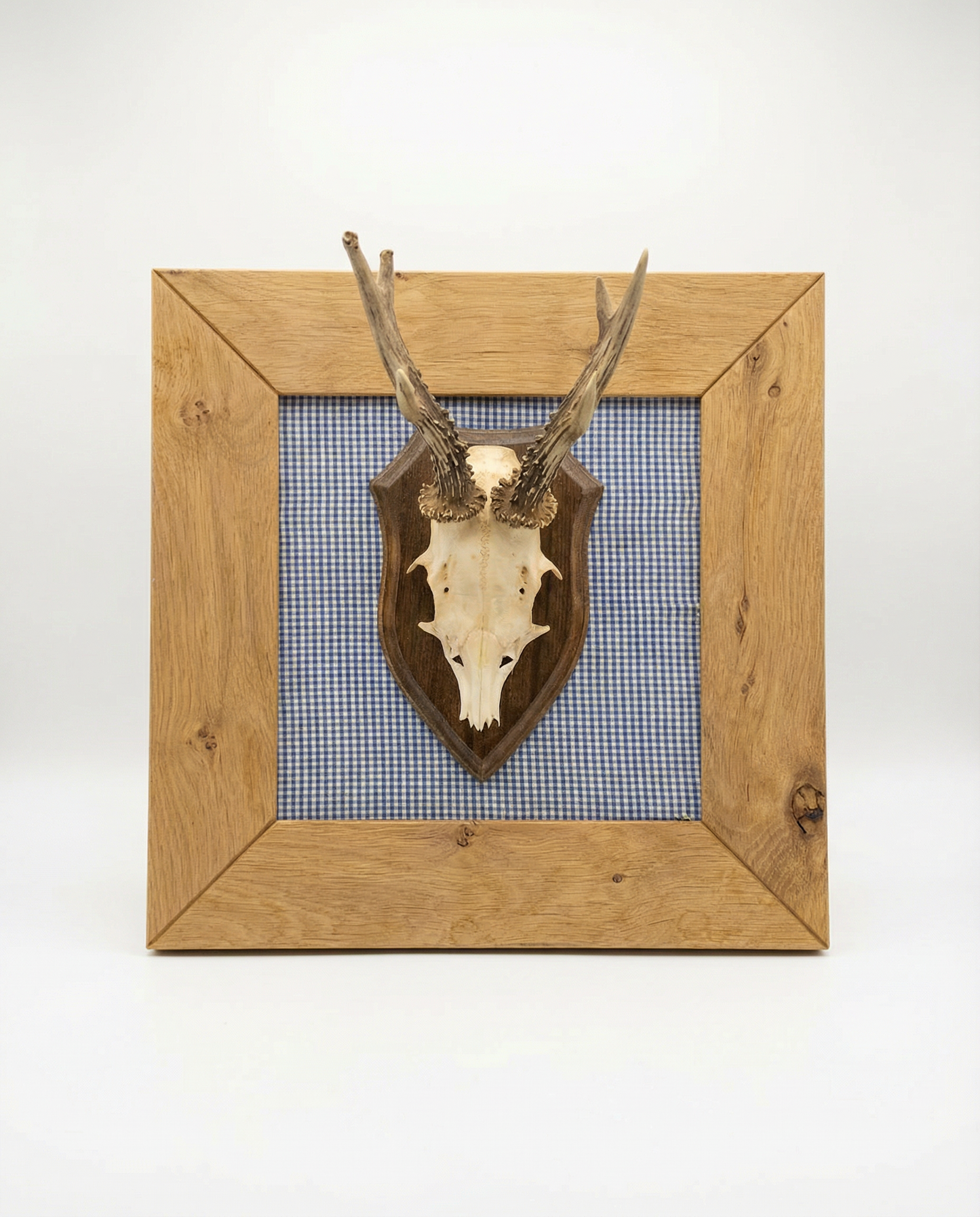 Geweih im Rahmen aus Eiche